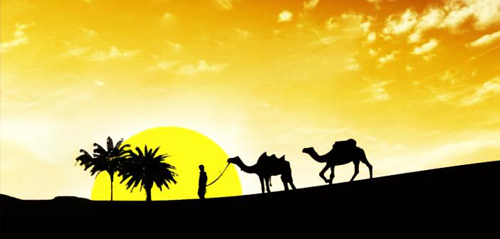 Şerîd Bin Süveyd (r.a.) Kimdir? | TurkArama Motoru | Sağlık ve Günlük Yaşam için Pratik Bilgiler