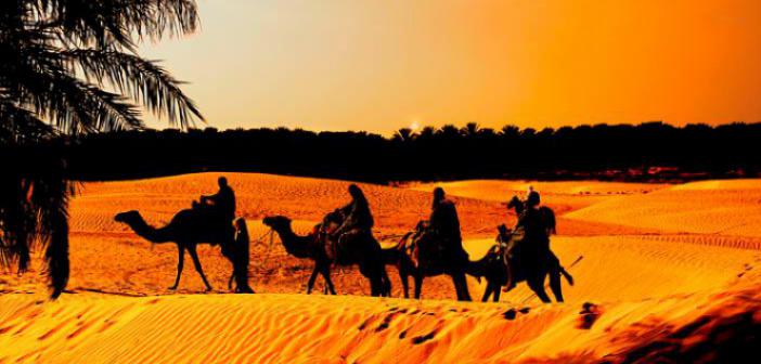 Ubeydullah Bin Mihsan (r.a.) Kimdir? | TurkArama Motoru | Sağlık ve Günlük Yaşam için Pratik Bilgiler